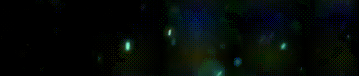 banner_fulls (3).gif