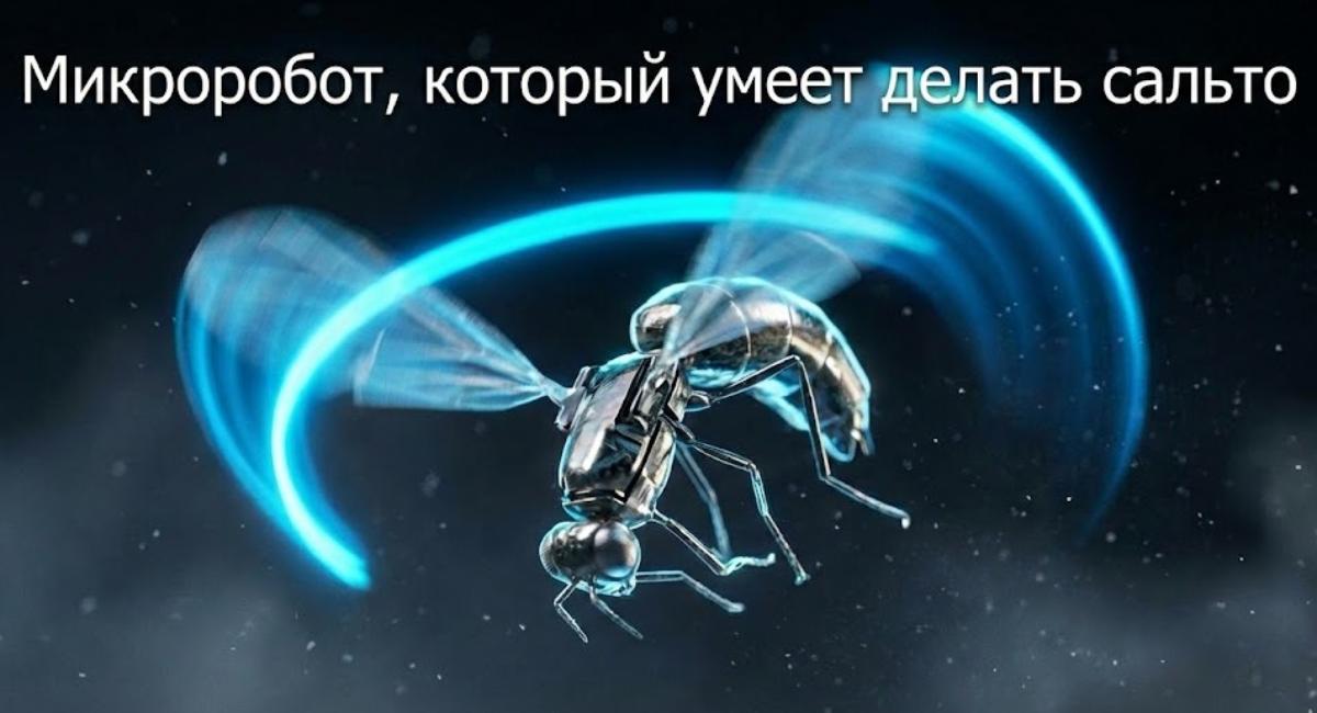 p1dsop3gqxps26bv64ra6wc2j2nop8hf.jpg