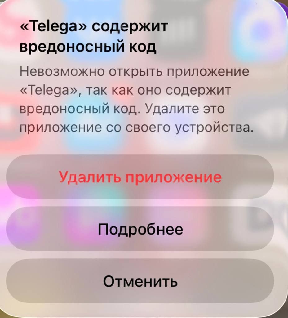 ce0343f7ca251552.jpg