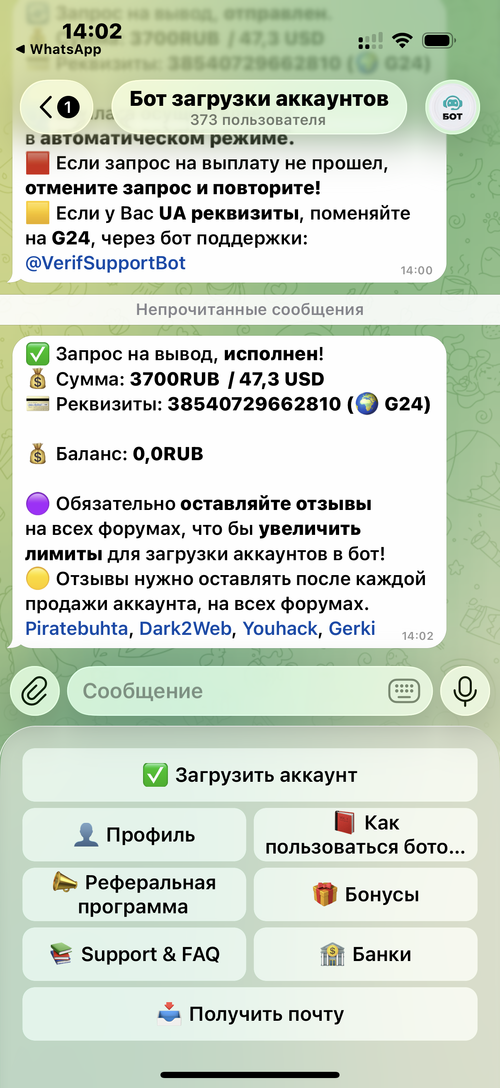 IMG_4237.png