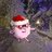 tsepy